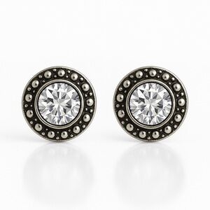 Silver Tone Fashionable  Casual Earrings